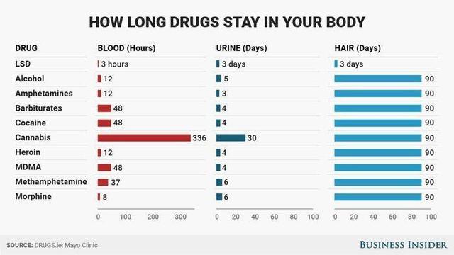 A stacked column chart shows how long certain street drugs remain detectable in blood and urine. Cannabis, by far, is the most detectable with 336 hours in blood and 30 days in urine. The average is 24 hours and 4 days.